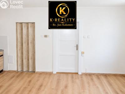 Sale apartment 1+1 Ústí nad Labem, U Městských domů č. 3