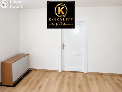 Sale apartment 1+1 Ústí nad Labem, U Městských domů č. 4