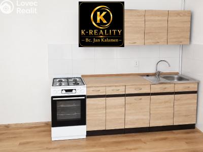 Sale apartment 1+1 Ústí nad Labem, U Městských domů č. 5