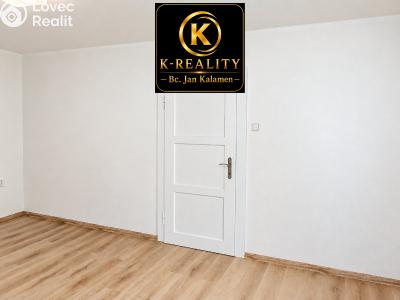 Sale apartment 1+1 Ústí nad Labem, U Městských domů č. 12