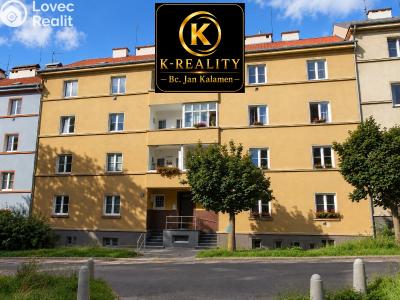 Sale apartment 1+1 Ústí nad Labem, U Městských domů č. 16