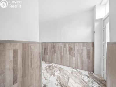 Продажа семейного дома Přerov, Ztracená č. 7
