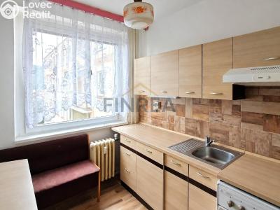 Sale apartment 3+1 Ústí nad Labem, Dr. Horákové č. 8