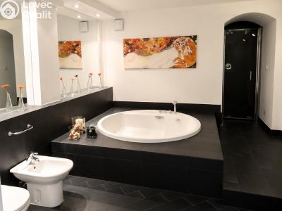 Rent apartment 3+1 Praha, Hořejší nábřeží č. 2