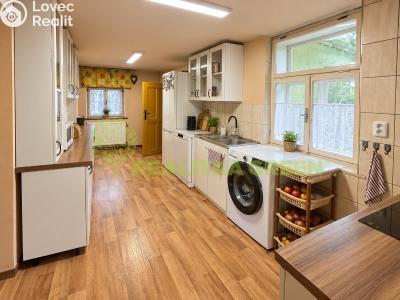 Sale family house Halenkov č. 19