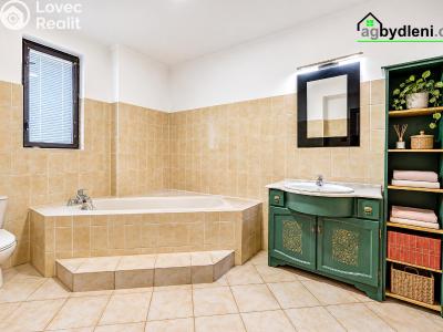 Продажа семейного дома Horšovský Týn, U střelnice 246 č. 14