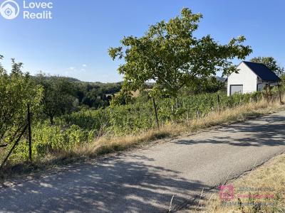 Продаж сади Mikulov, Nová 1 č. 2