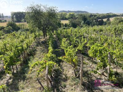 Продаж сади Mikulov, Nová 1 č. 6