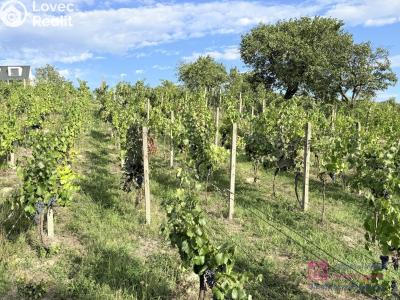 Продаж сади Mikulov, Nová 1 č. 8
