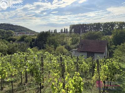 Продаж сади Mikulov, Nová 1 č. 10