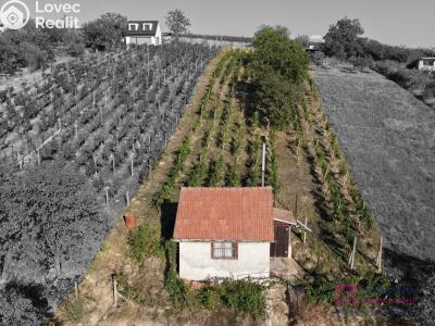 Продаж сади Mikulov, Nová 1 č. 11