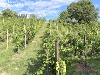 Продаж сади Mikulov, Nová 1 č. 12