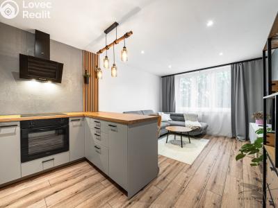 Продажа квартиры 3+KK Sokolov, Švabinského č. 2
