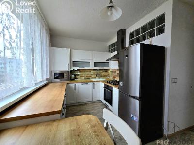 Аренда квартиры 3+1 Znojmo, Pod Soudním vrchem č. 2