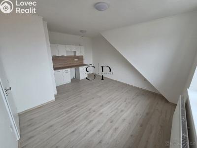 Pronájem bytu 1+1 Černovice, Mariánské náměstí č. 1