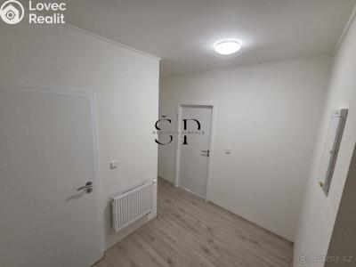 Pronájem bytu 1+1 Černovice, Mariánské náměstí č. 4