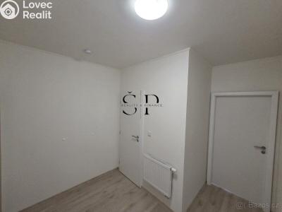 Pronájem bytu 1+1 Černovice, Mariánské náměstí č. 5