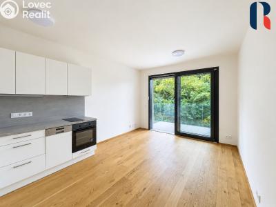 Rent apartment 1+KK Praha, Československého exilu č. 16