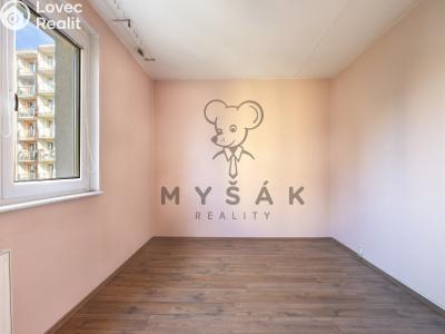 Prodej bytu 4+1 České Budějovice, Vodňanská 1070 č. 9