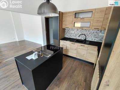 Rent apartment 3+1 Aš, Údolní č. 1