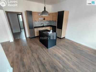 Rent apartment 3+1 Aš, Údolní č. 2