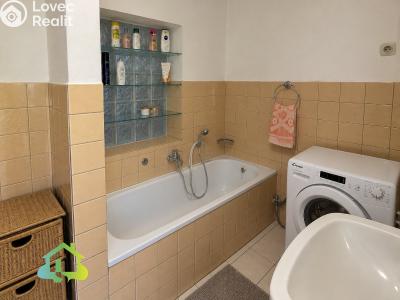 Продажа многогенного дом Člunek č. 10