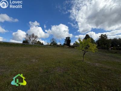 Продажа многогенного дом Člunek č. 20