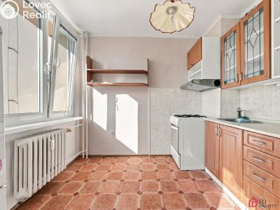 Sale apartment 2+1 Pardubice, nábřeží Závodu míru 1858 č. 16