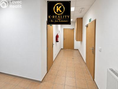 Rent office space Ústí nad Labem, Londýnská č. 10