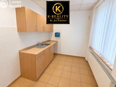 Pronájem kanceláře Ústí nad Labem, Londýnská č. 7