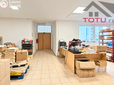 Prodej obchodního prostoru Kostelec nad Orlicí, Mánesova č. 14