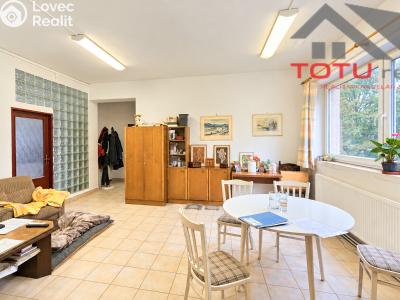 Prodej obchodního prostoru Kostelec nad Orlicí, Mánesova č. 19