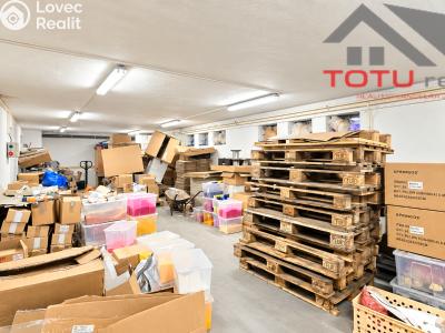 Prodej obchodního prostoru Kostelec nad Orlicí, Mánesova č. 22