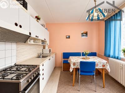 Sale apartment 1+1 Tachov č. 6