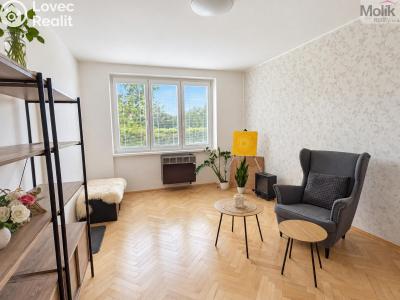 Pronájem bytu 2+1 Teplice, Josefa Suka 2507 č. 7