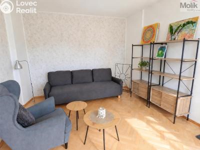 Pronájem bytu 2+1 Teplice, Josefa Suka 2507 č. 8