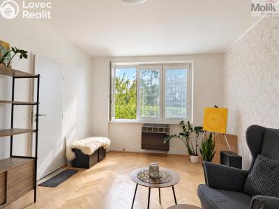 Pronájem bytu 2+1 Teplice, Josefa Suka 2507 č. 9
