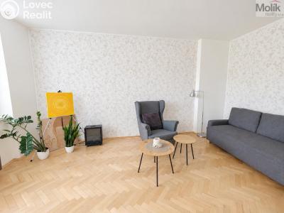 Pronájem bytu 2+1 Teplice, Josefa Suka 2507 č. 10