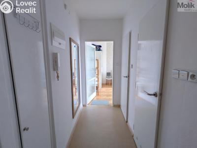Pronájem bytu 2+1 Teplice, Josefa Suka 2507 č. 12