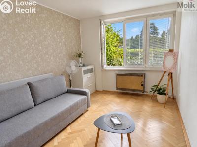 Pronájem bytu 2+1 Teplice, Josefa Suka 2507 č. 13