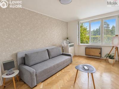 Pronájem bytu 2+1 Teplice, Josefa Suka 2507 č. 14
