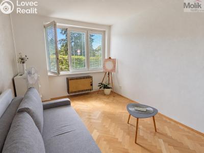 Pronájem bytu 2+1 Teplice, Josefa Suka 2507 č. 15