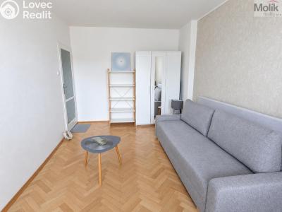 Pronájem bytu 2+1 Teplice, Josefa Suka 2507 č. 16