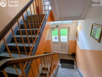 Pronájem bytu 2+1 Teplice, Josefa Suka 2507 č. 22