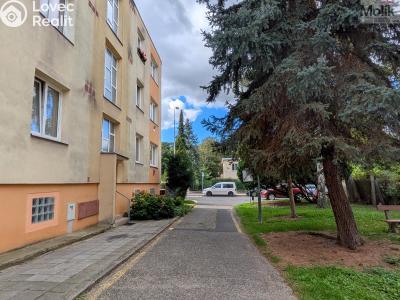 Pronájem bytu 2+1 Teplice, Josefa Suka 2507 č. 23