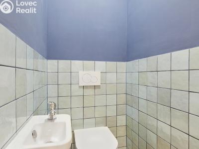 Prodej rodinného domu Velké Popovice č. 10