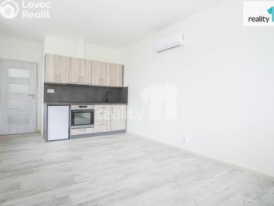 Rent apartment 1+KK Přerov, Hlavní č. 1