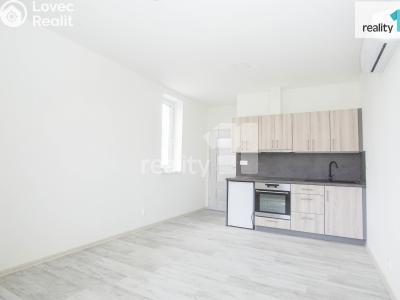 Rent apartment 1+KK Přerov, Hlavní č. 5