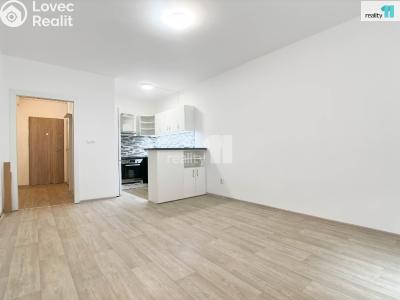 Rent apartment 2+KK Hulín, Družba č. 1