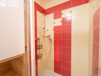 Prodej bytu 3+KK Opatovice nad Labem, Neplachova č. 32